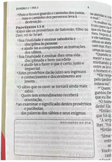 Bíblia 365 NVI: A Palavra de Deus em leituras diárias