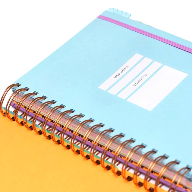 Planner Meu Plano Perfeito Capa Dura Pastel