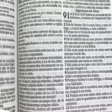 Bíblia Sagrada Infantil RC Letra Grande Com Harpa Avivada E Corinhos Capa Dura Pequena Leão Criança