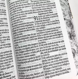 Bíblia Sagrada RC Letra Jumbo Compacta Com Harpa Avivada E Corinhos Capa Dura Flores Laranja